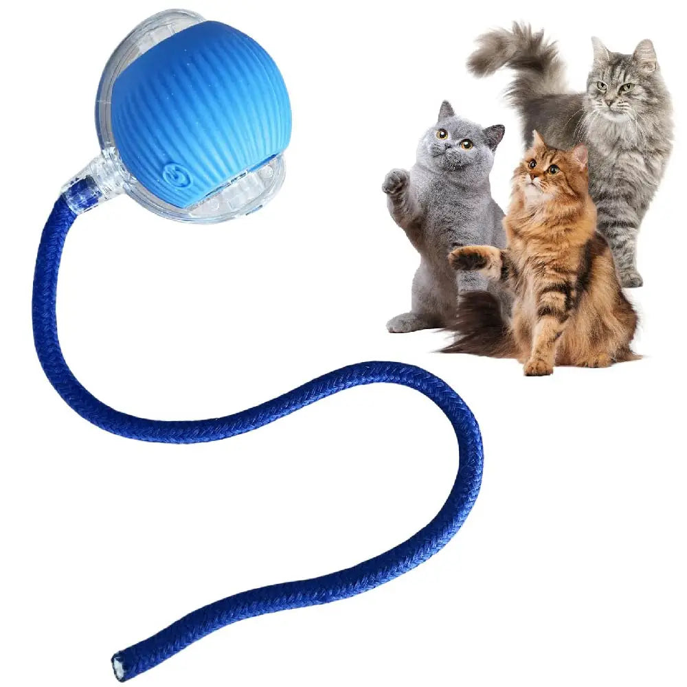 Automatic Rolling Ball Cat Toy with Tail Lamp - USB Rechargeable