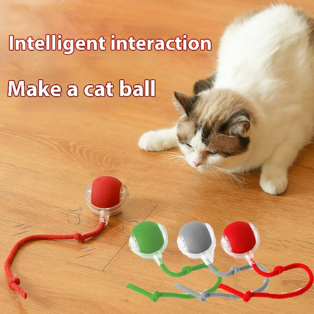 Automatic Rolling Ball Cat Toy with Tail Lamp - USB Rechargeable