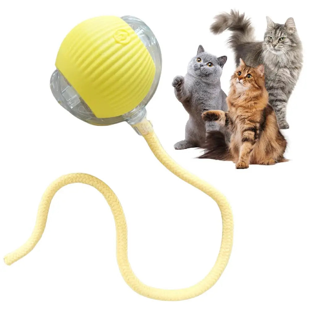 Automatic Rolling Ball Cat Toy with Tail Lamp - USB Rechargeable